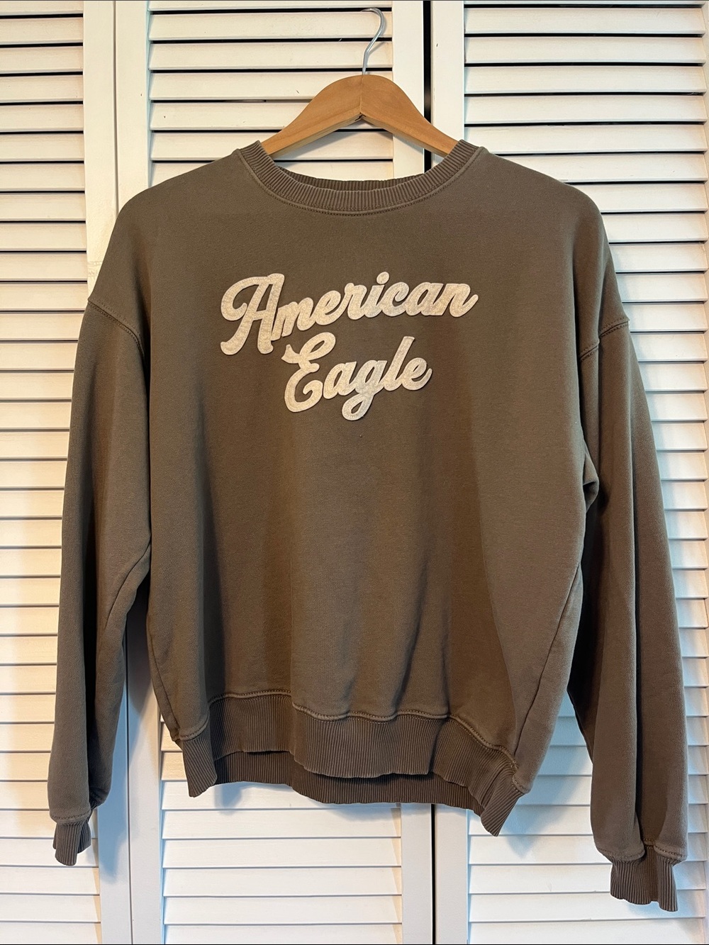 American Eagle Outfitters Oversized Crewneck